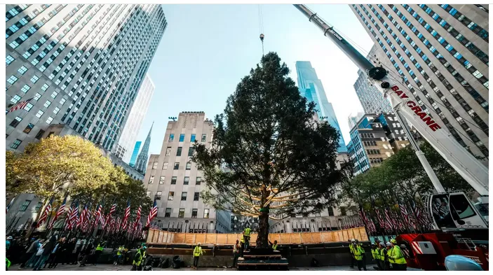 Arbol de Navidad en NY